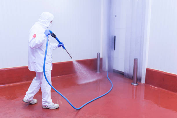 Best Winterizing Services  in Belleville, PA
